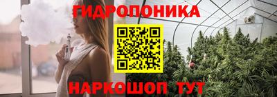 spice Коммунар