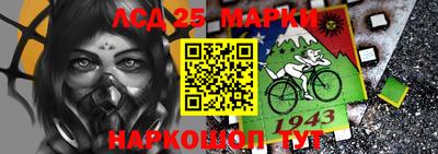 гидропоника Краснознаменск